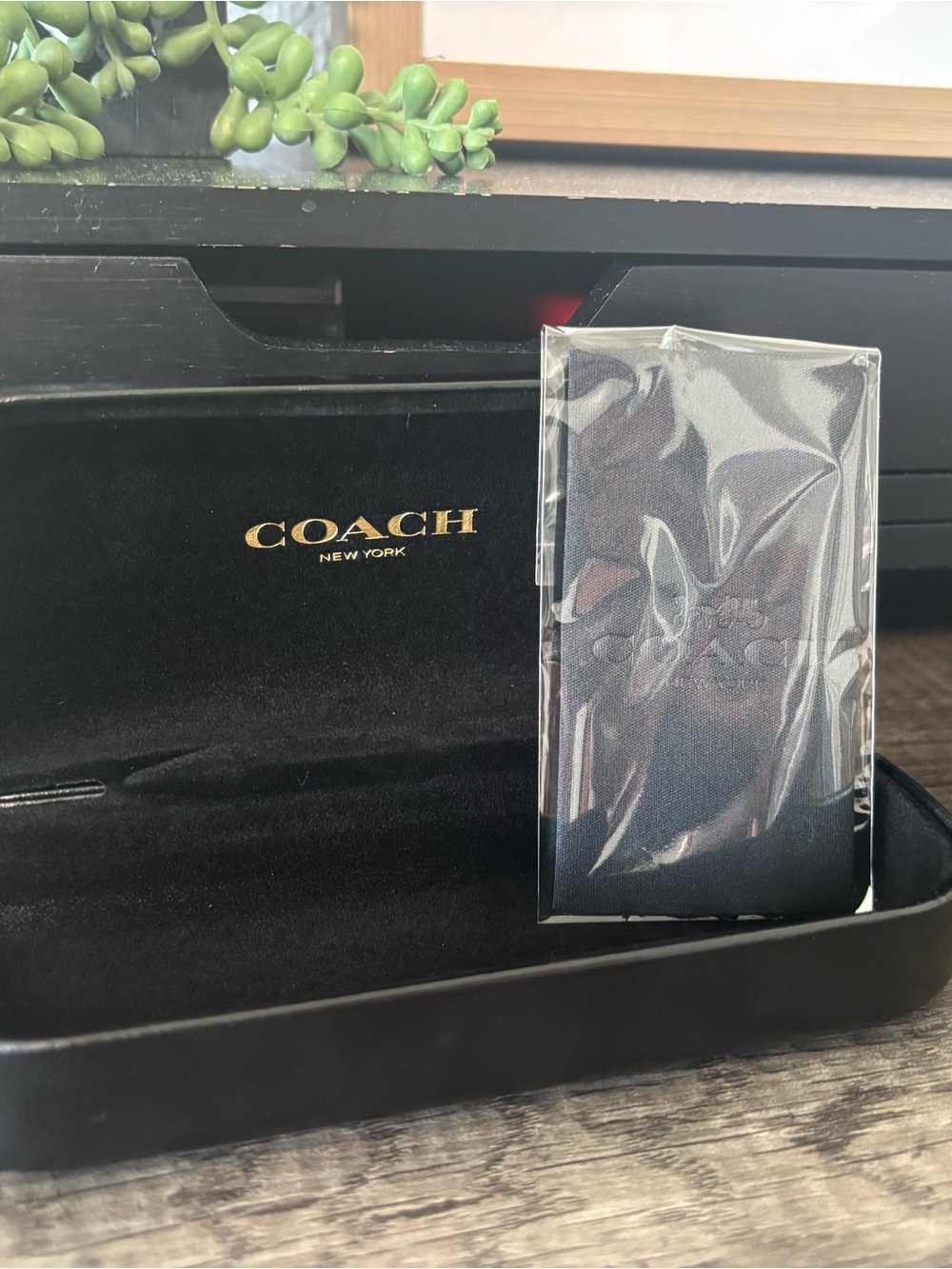 Coach Sunglasses Case